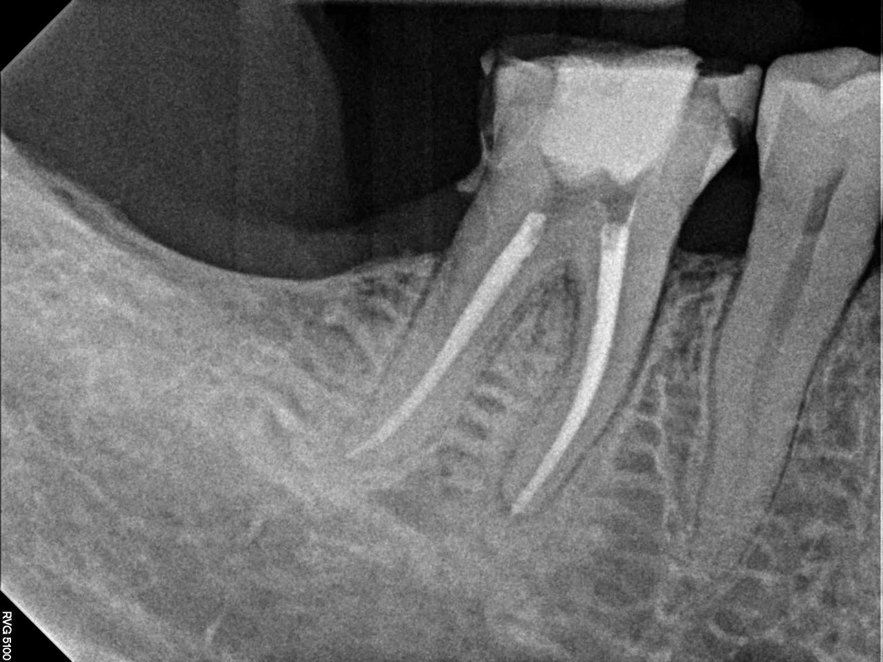 Mariela Fuentes Astudillo-1