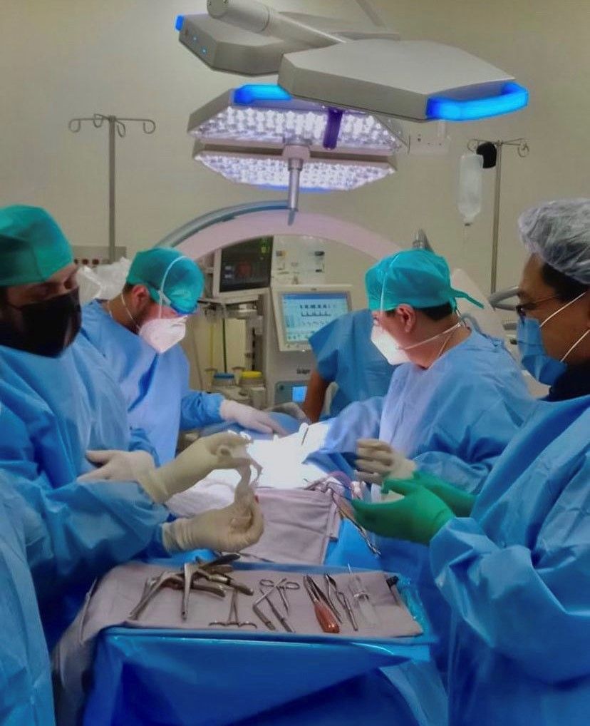 César Alejandro Moreno Palapa-6