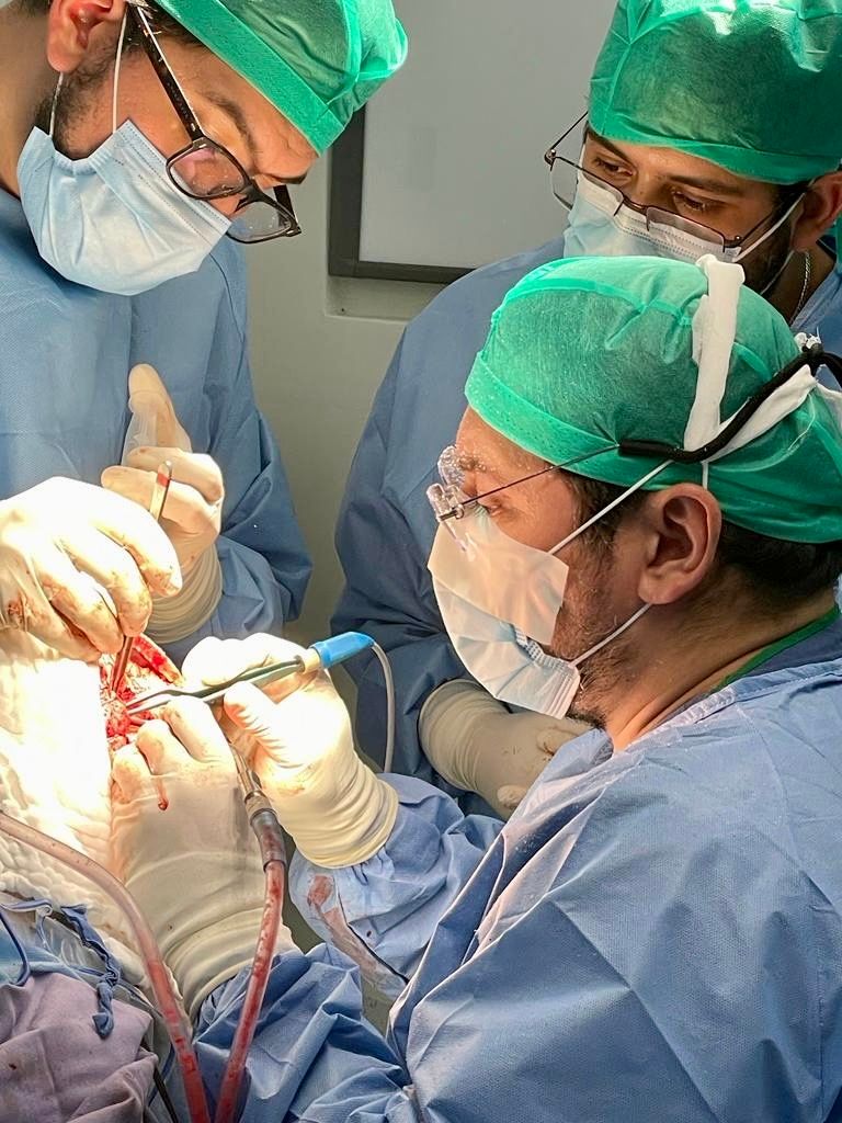 Agustín Dorantes Argandar-11