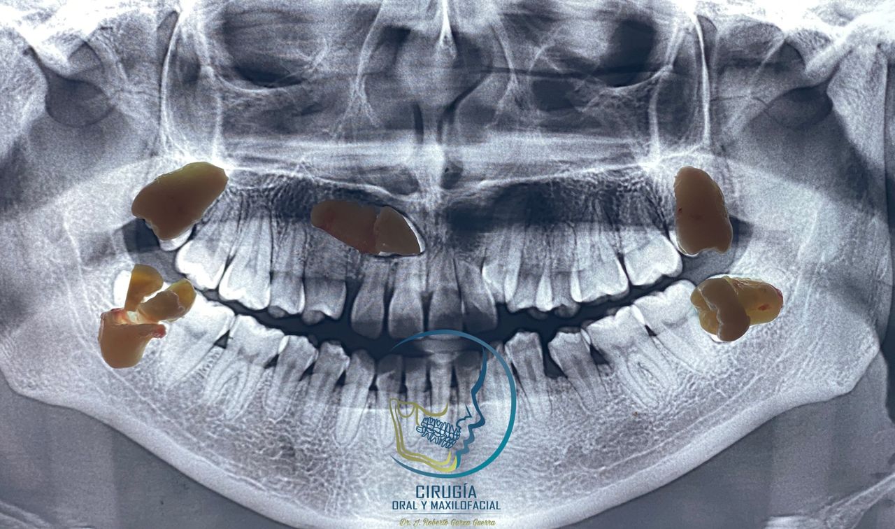 Roberto Garza Guerra-5