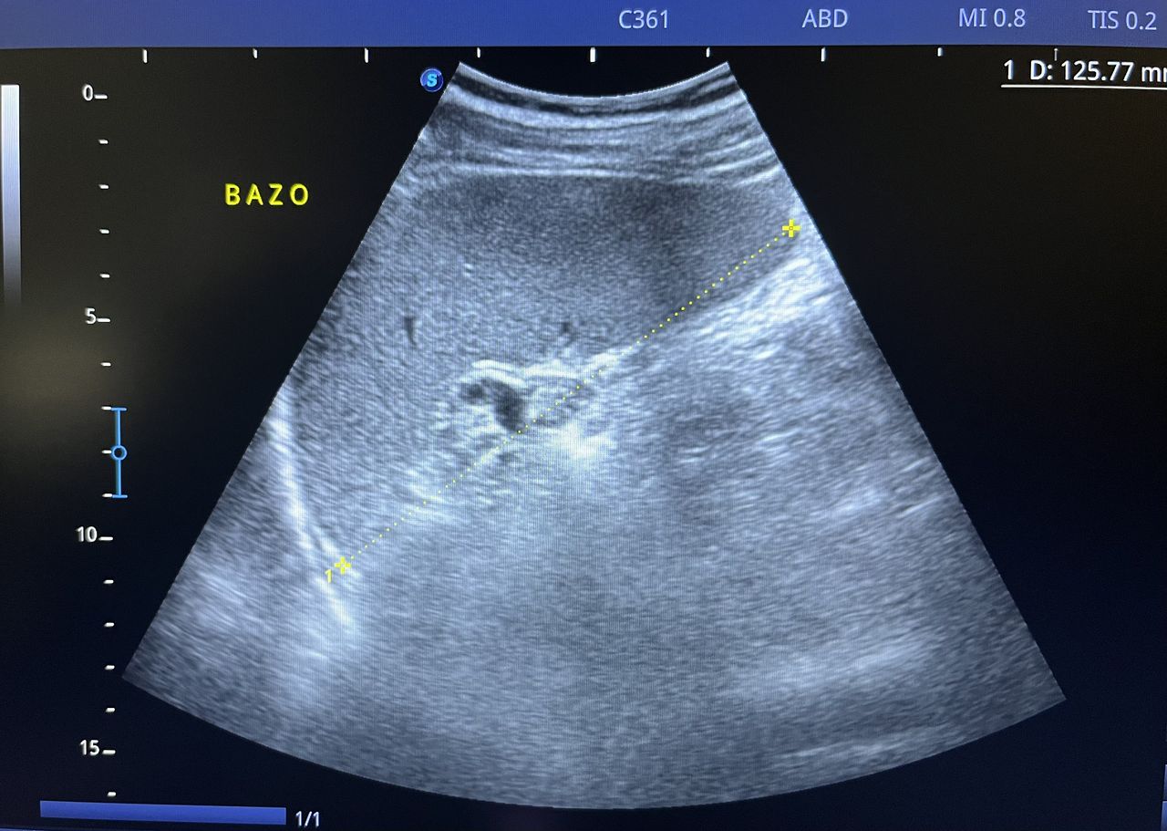 César Guerra Martínez-34