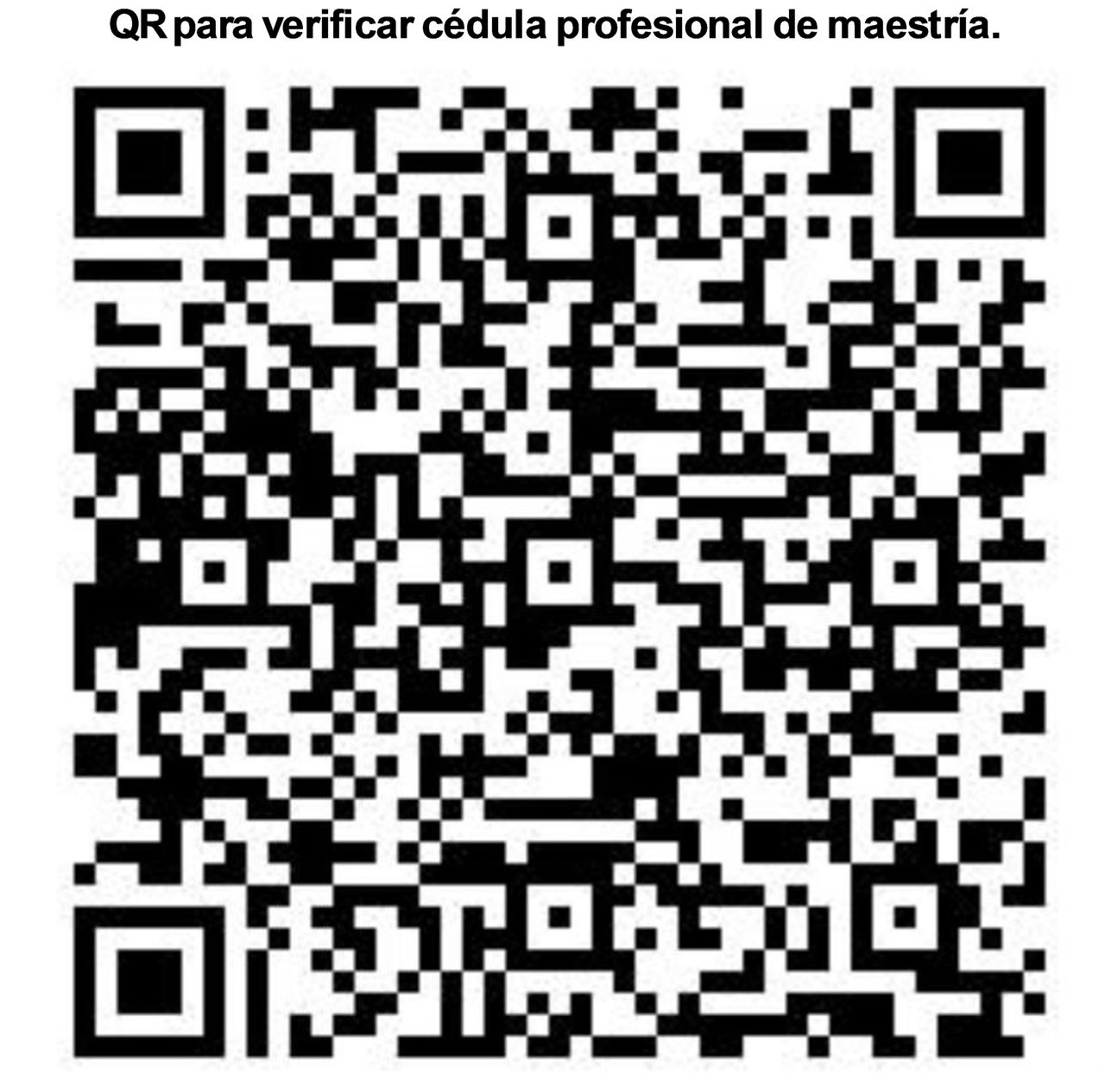 Andrés Pastor García-4