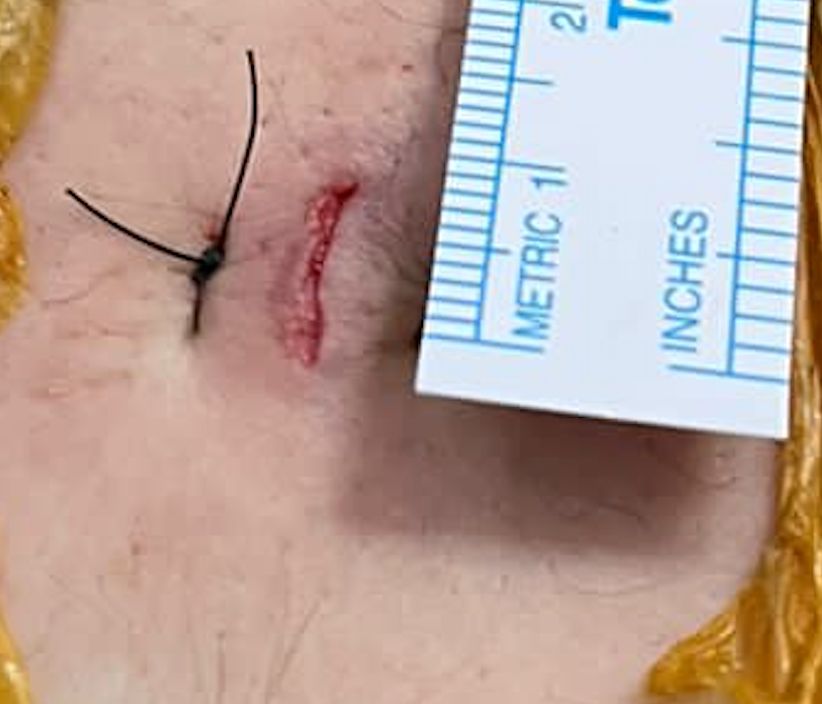 José Luis Sánchez Arellano-14