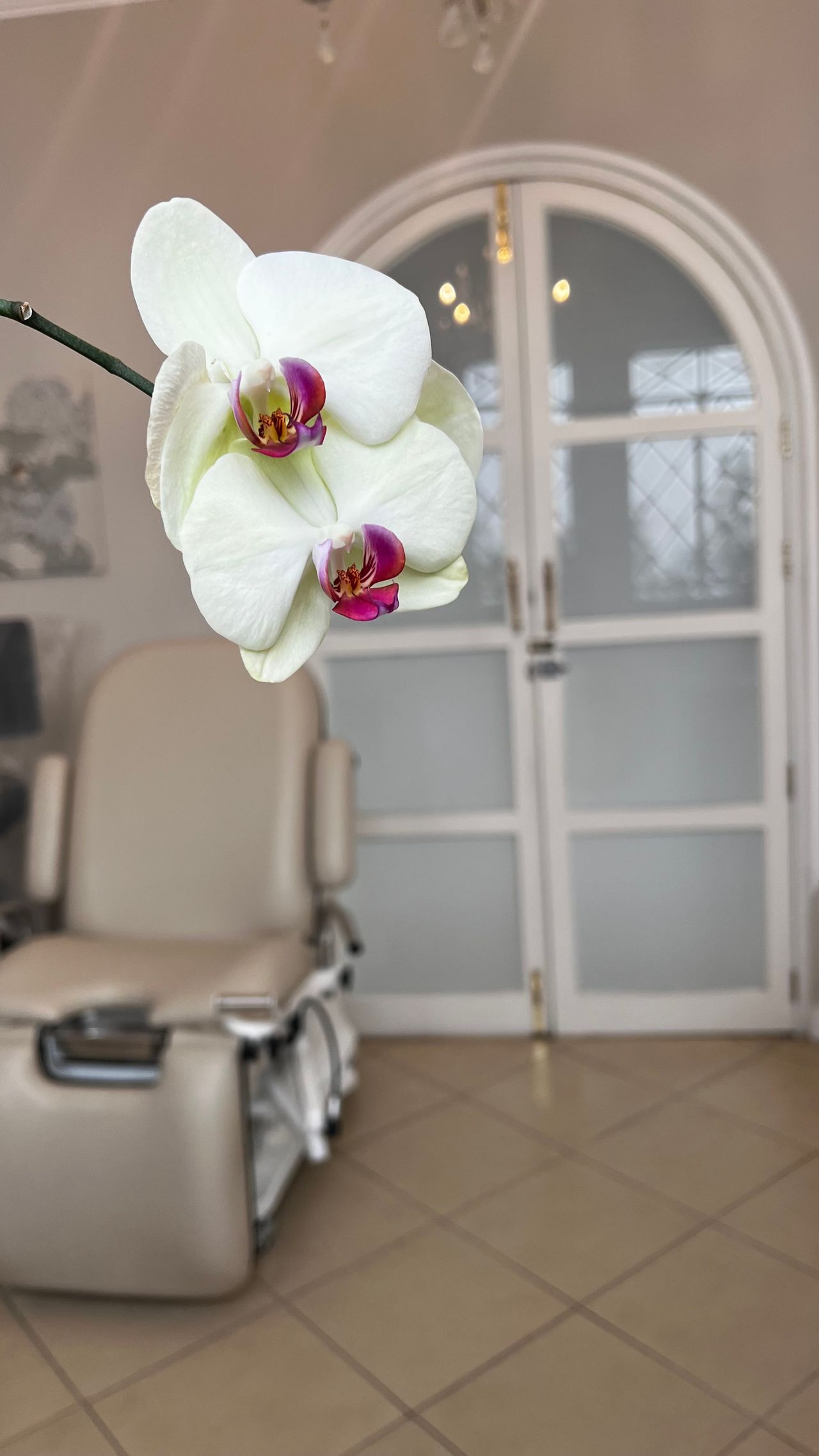 Lizette Padilla Miranda-0