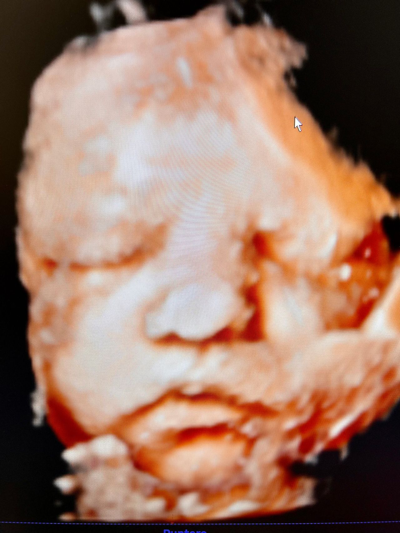 Sahad Muñoz Correa-3