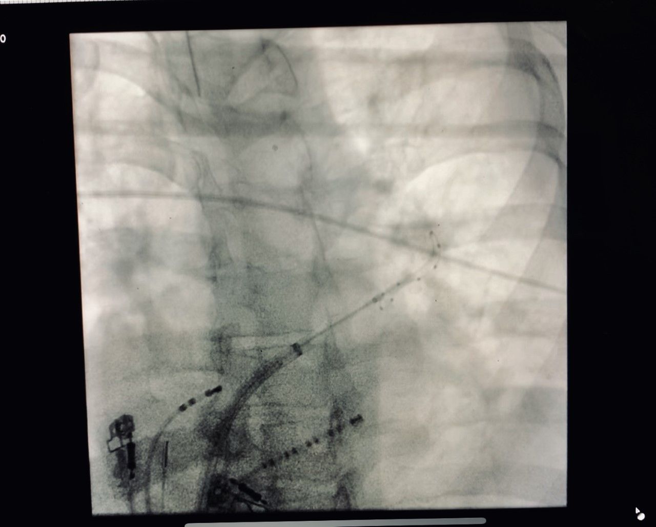 Karim Yarek Juarez Escobar-9