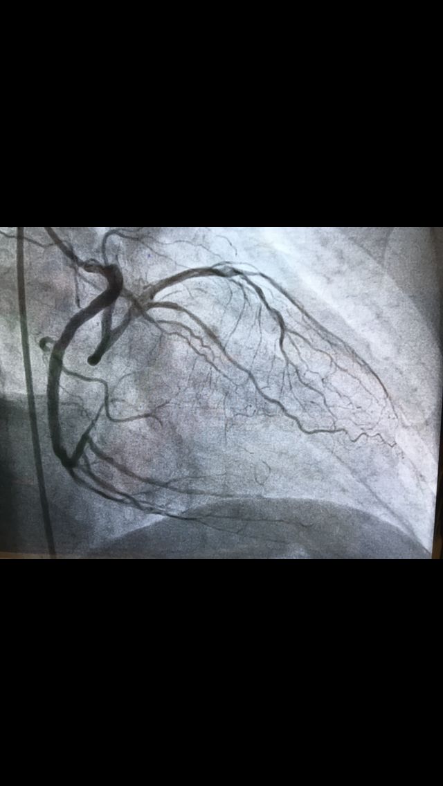 Gilberto Del Campo Ortega-2