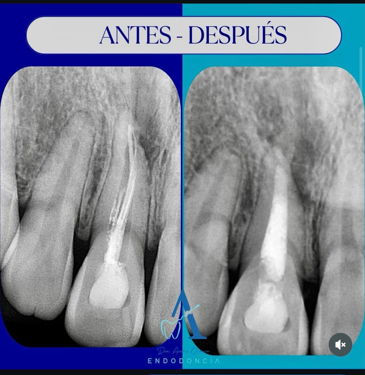 Anahí Orozco Vega-0