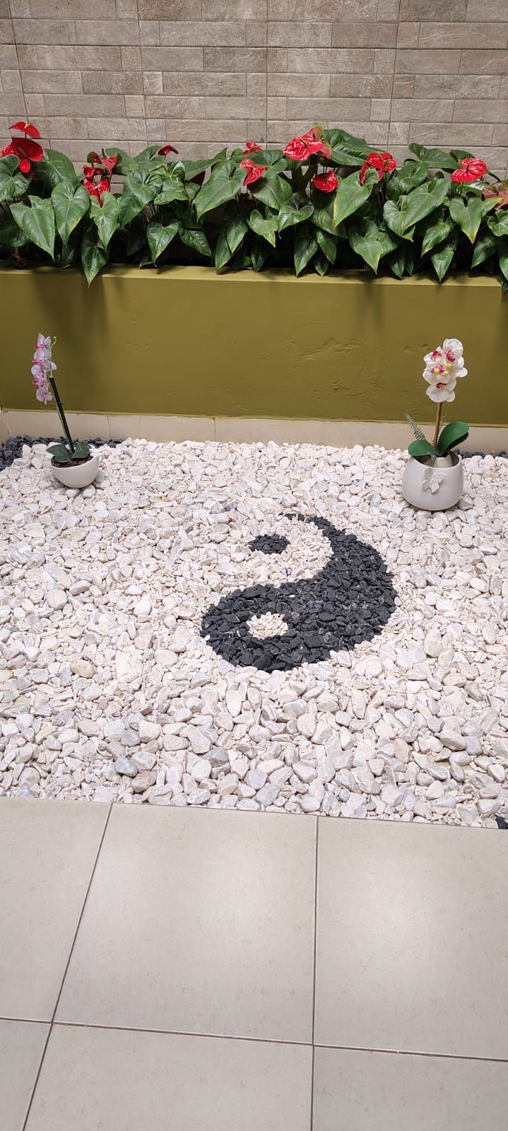 Mónica Gómez Tovar-1