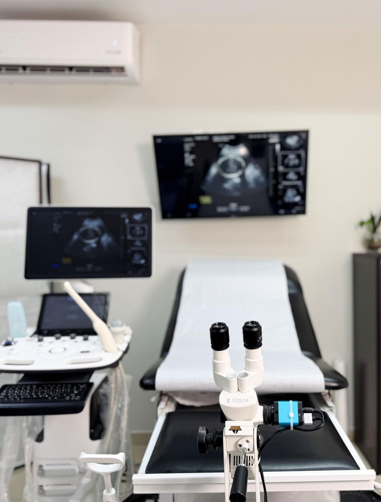 Dante Flores Hernández-19