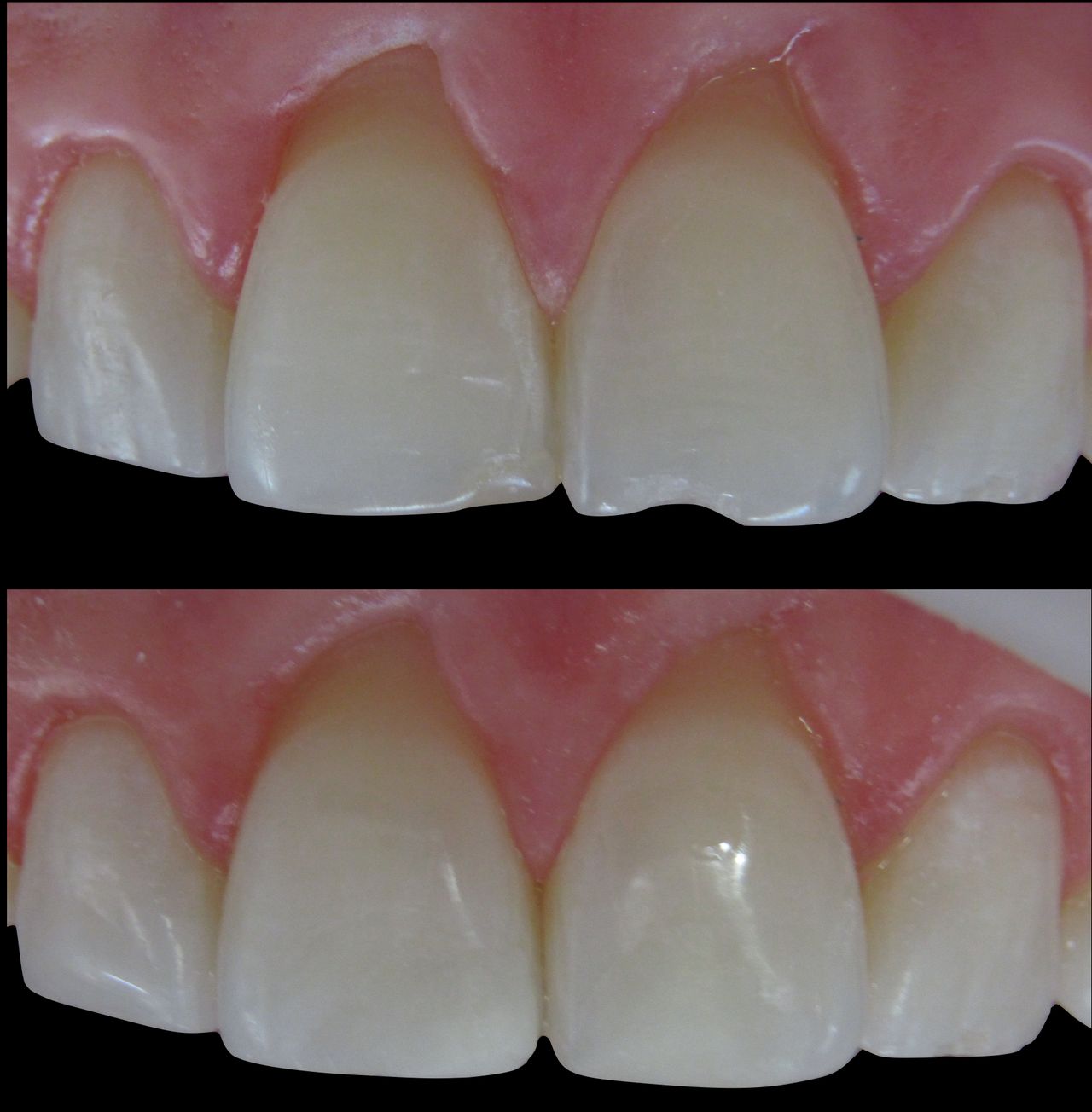 María Fernanda González Gastelum-61