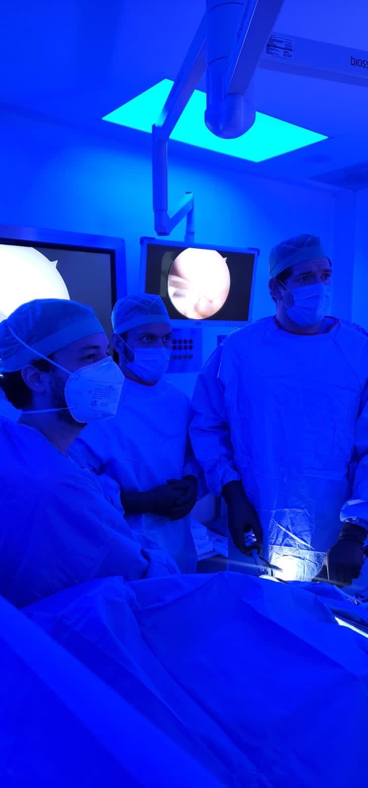 Mario Javier Ortiz De Montellano Gallaga-15