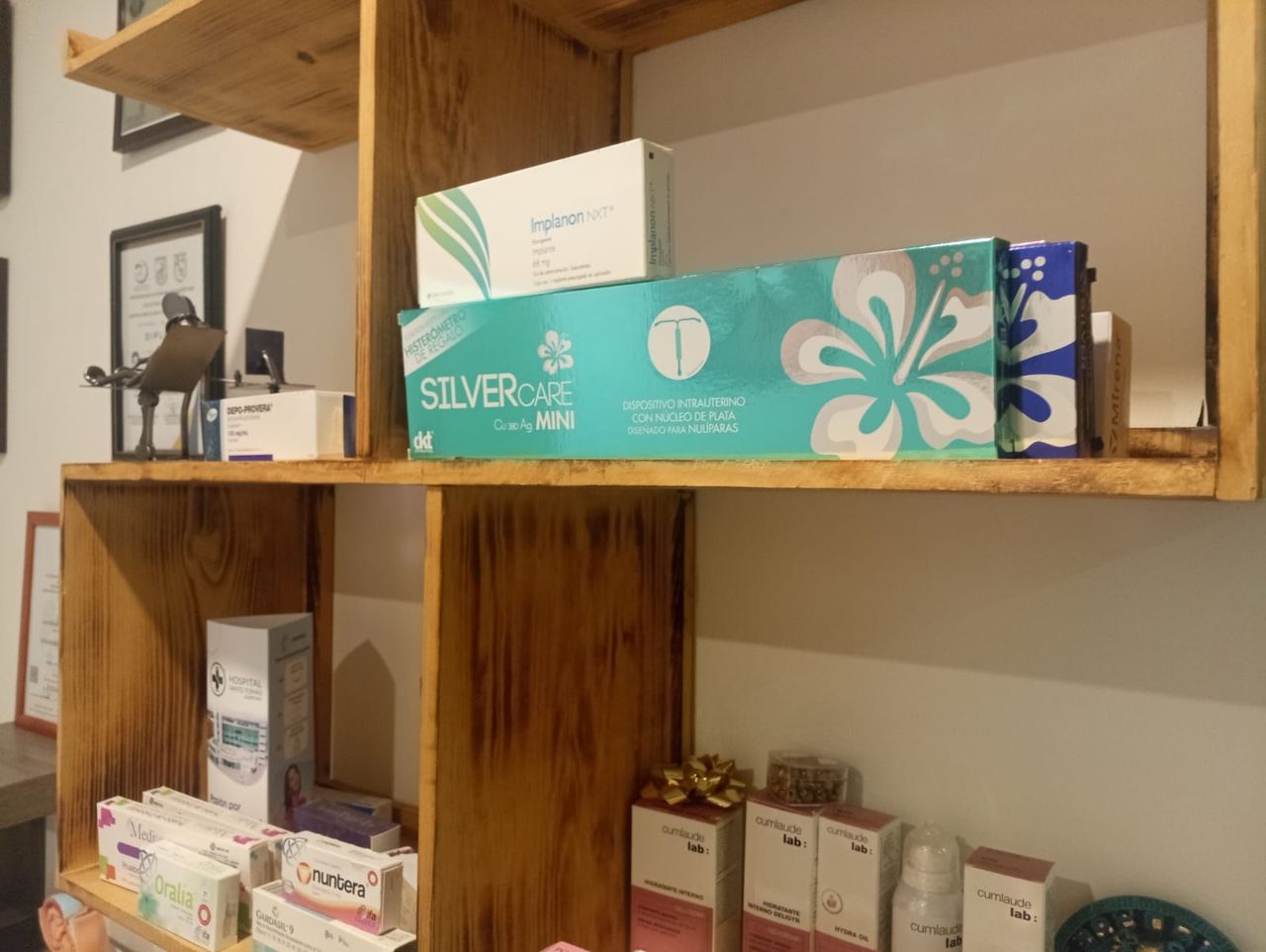 Claudia Selene Gonzalez Alcantar-1