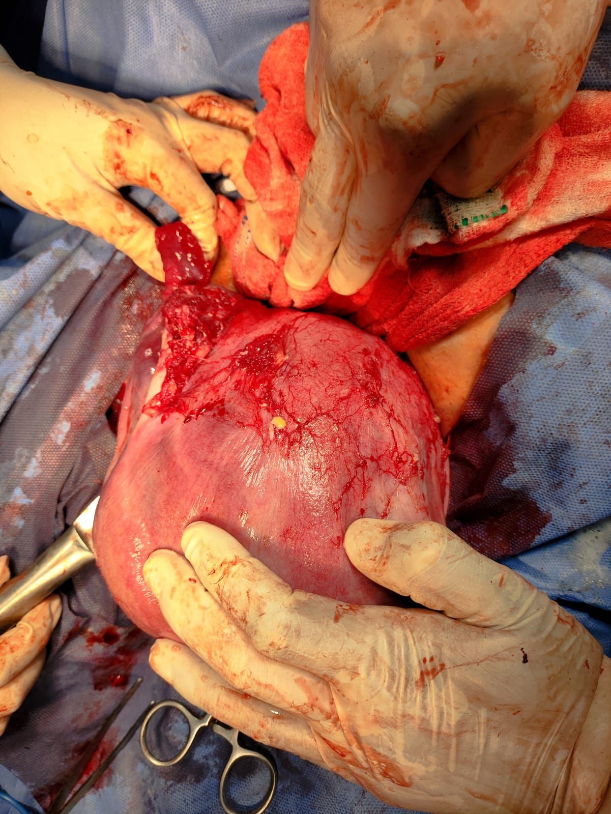 Jacqueline Hernandez Gonzalez-1