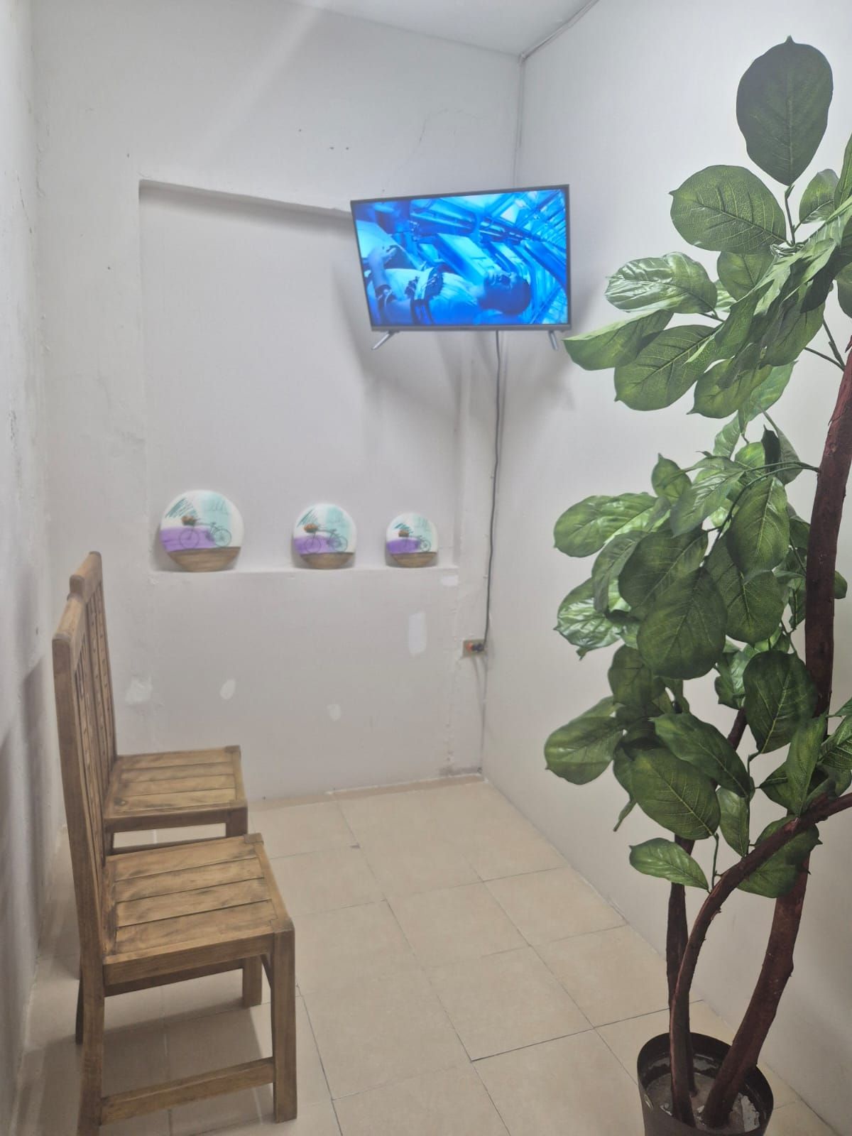 Norma Piña Patiño-1