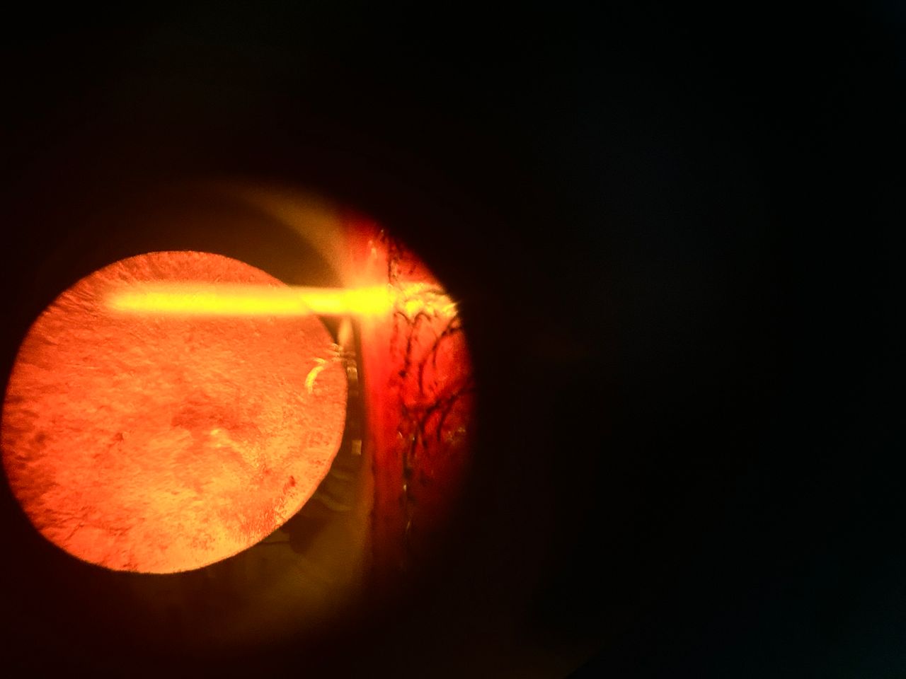 Daniel Martin Laguna Muñoz-15