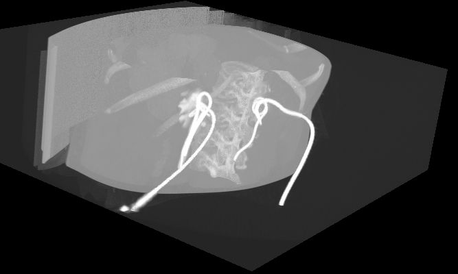 Adrian Estrada Campos-7