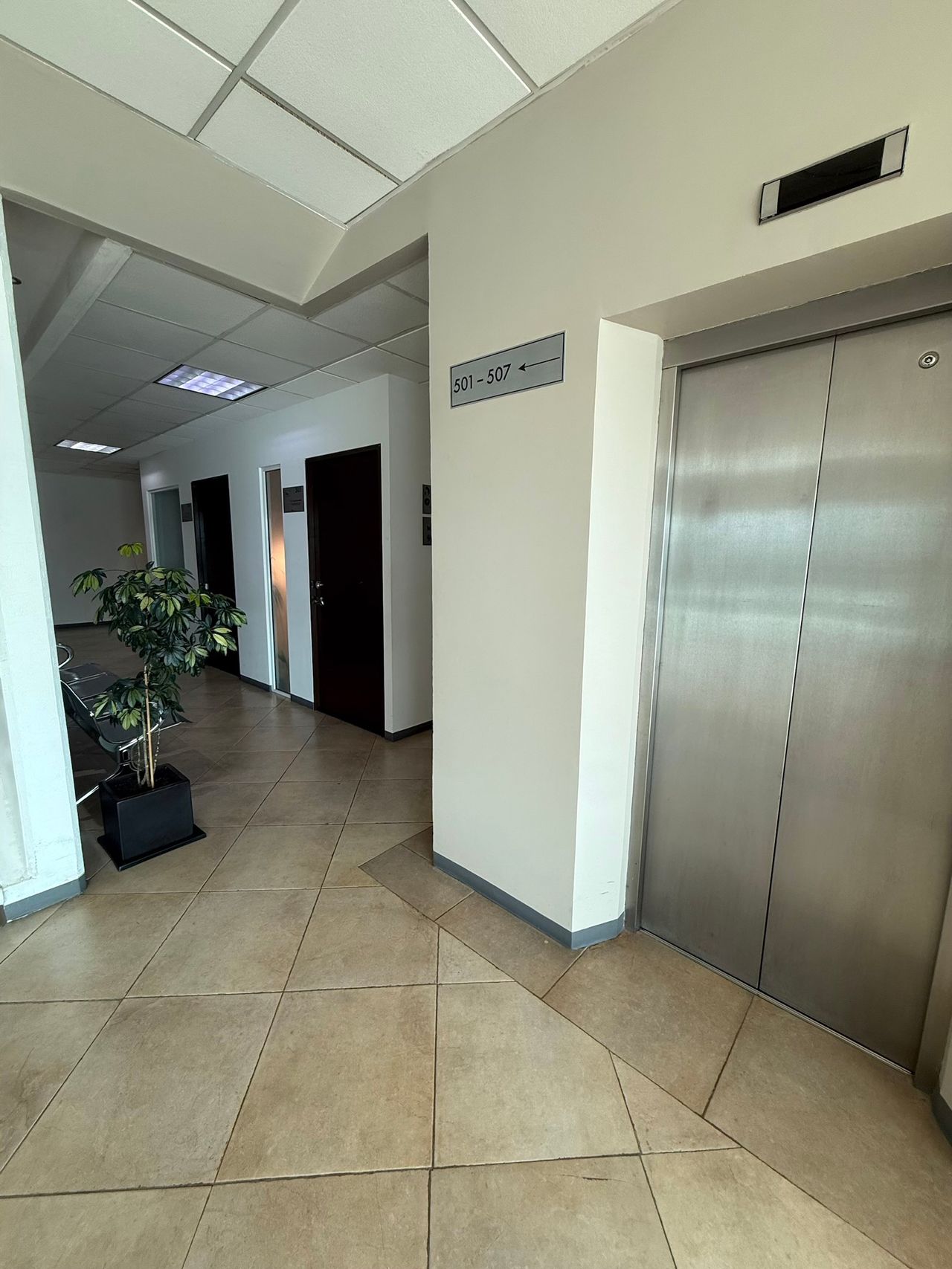 Diana Lozada Jiménez-1