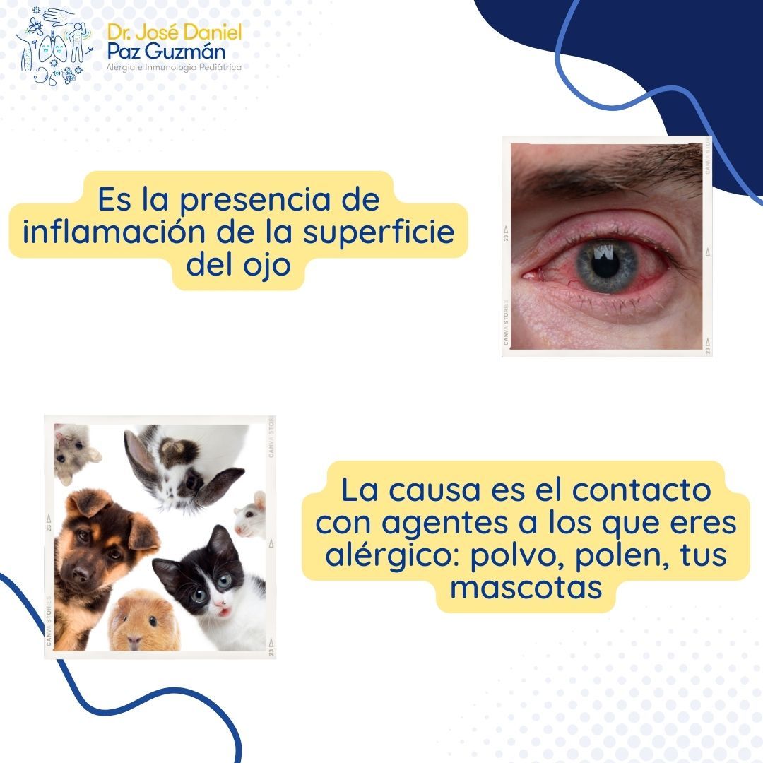 José Daniel Paz Guzmán-24