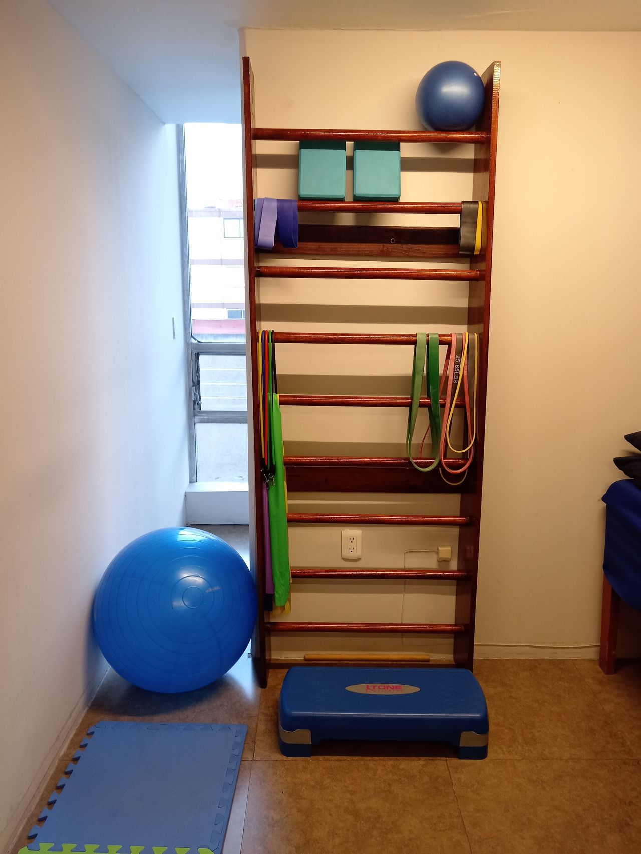 Norma Angélica Báez Escalera-5