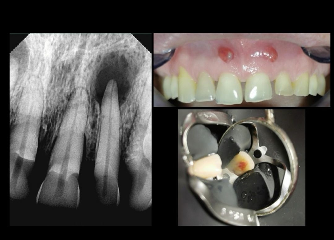 Ana Karen Basulto Cruz-6