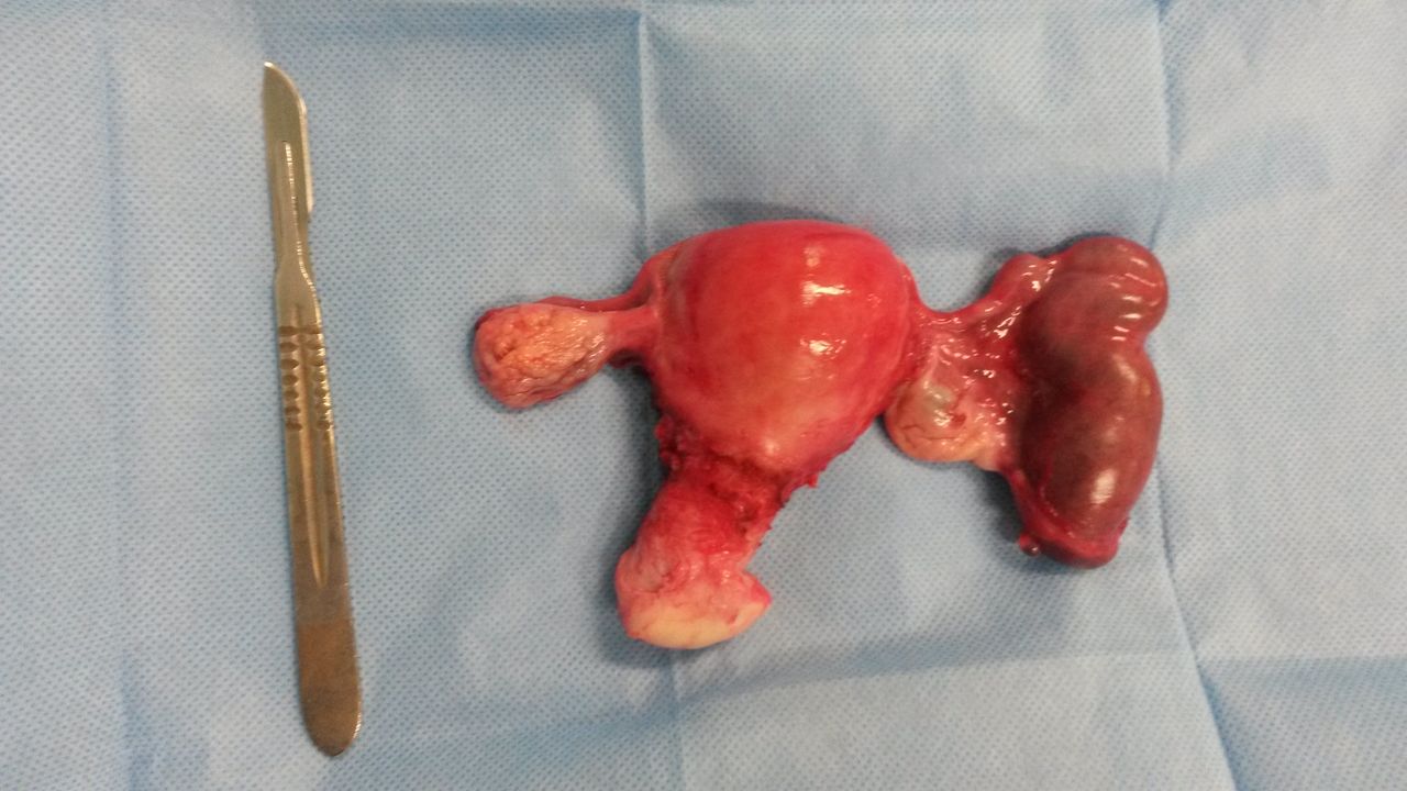 Hilda Rguez Zubieta-3