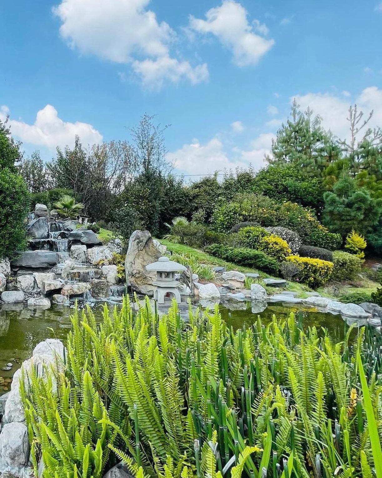 Andrea Zuñiga Costa-4