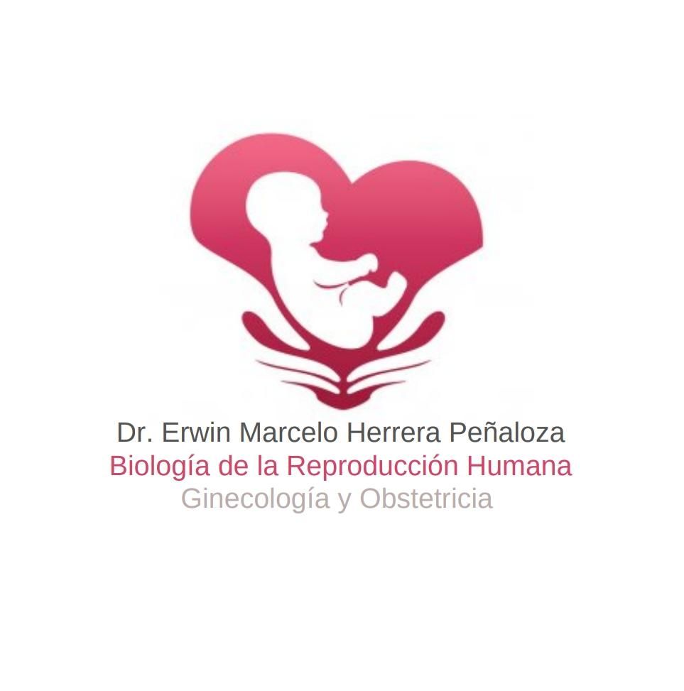 Marcelo Herrera Peñaloza-18