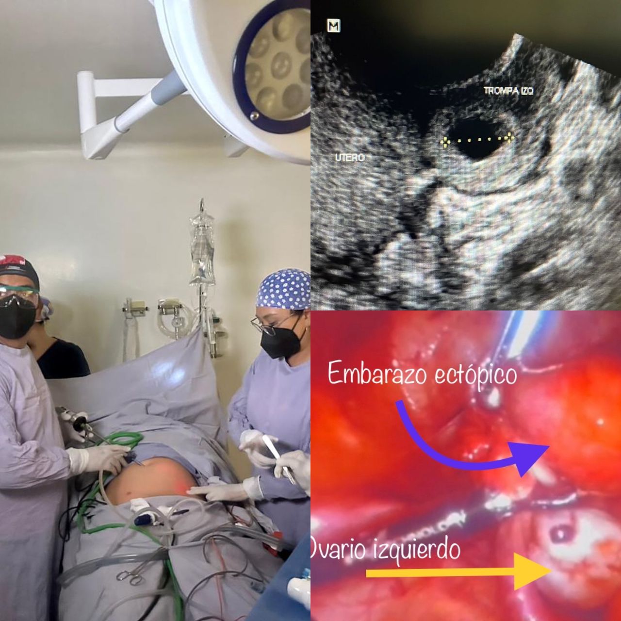 Claudia Nayely Paredes Palma-4