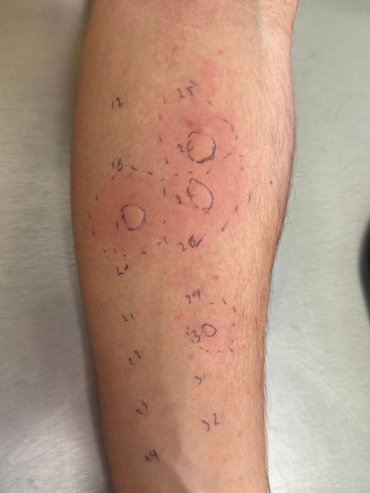 Brenda Mariel Valerdi Zepeda-0