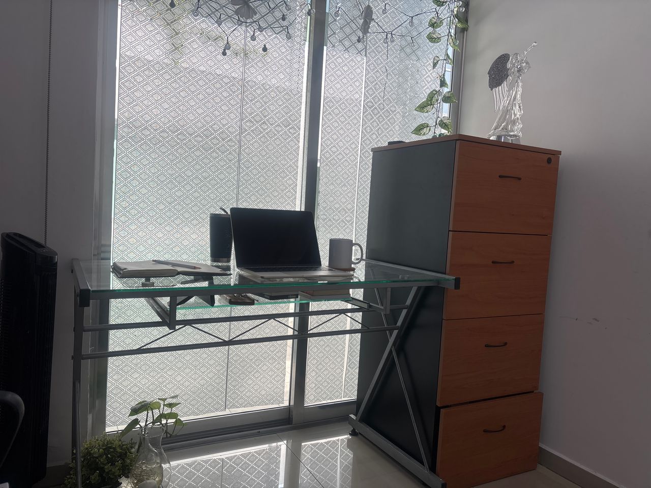 Carmen Adela Medina Diaz-5