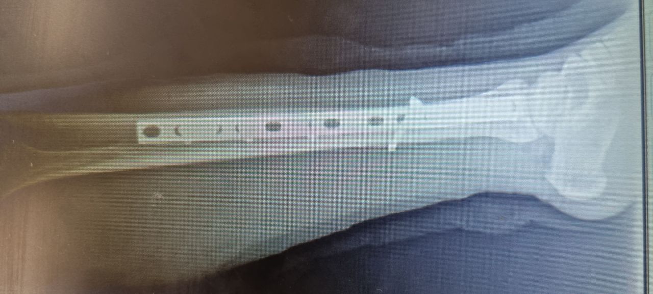 Héctor Omar González Navarro-11