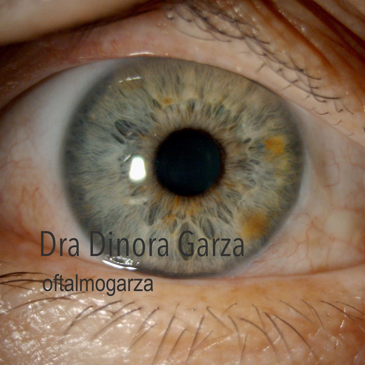 Dinora Garza Leal-38