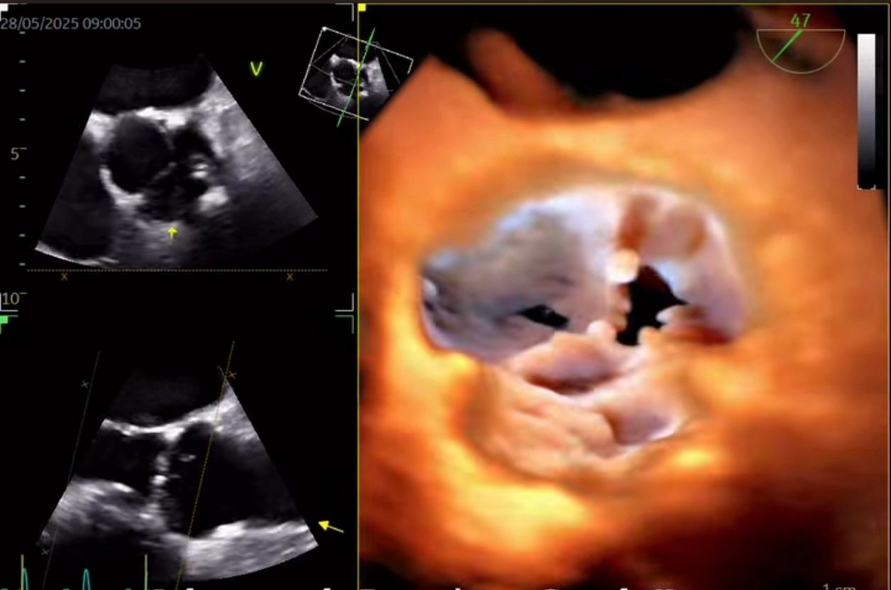 José Alberto Sánchez Toscano-2