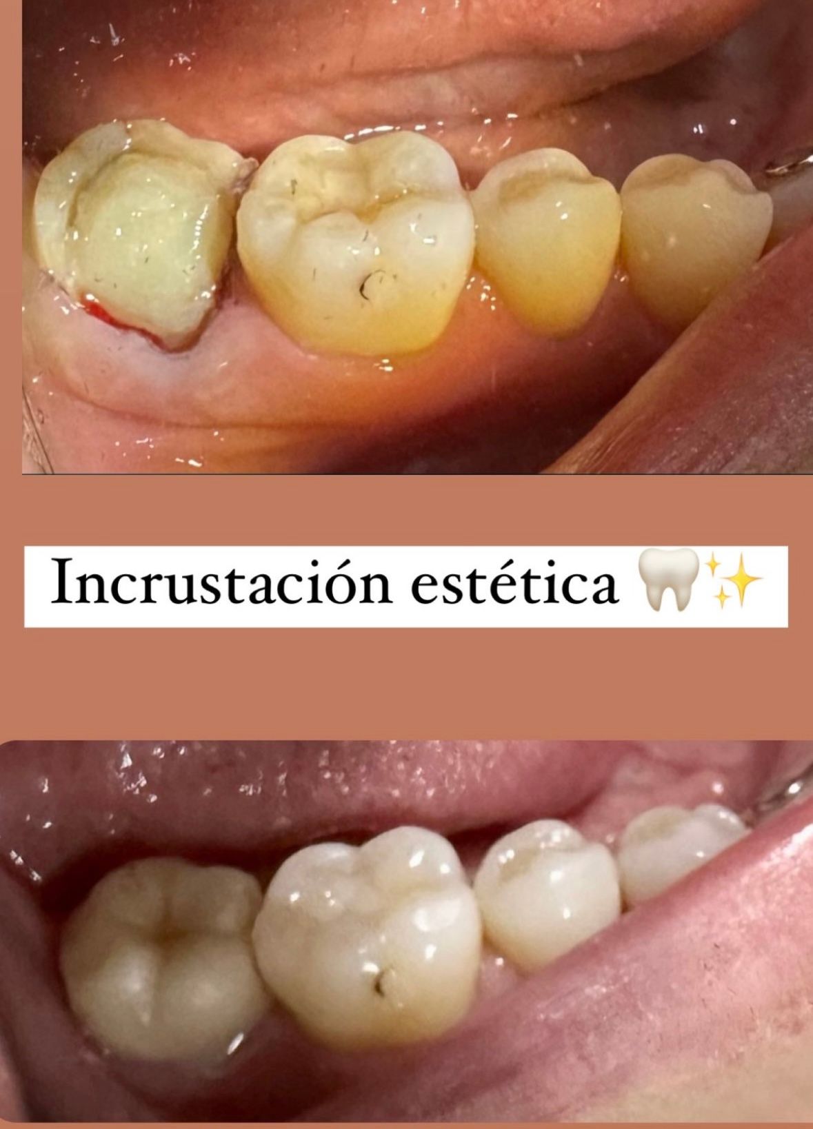 Fernanda Tovar Navarro-41