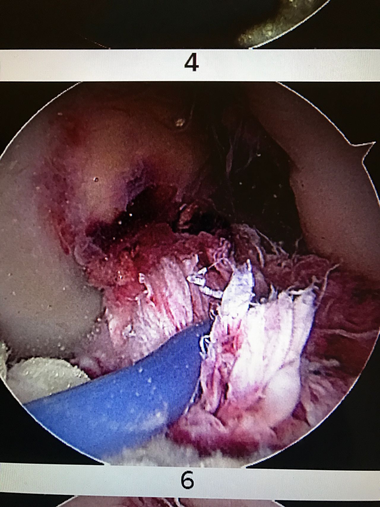 Juan Manuel Viruega Avalos-10