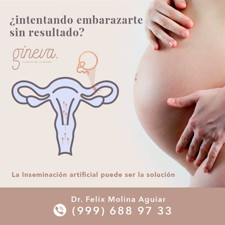 Félix José Molina Aguiar-11