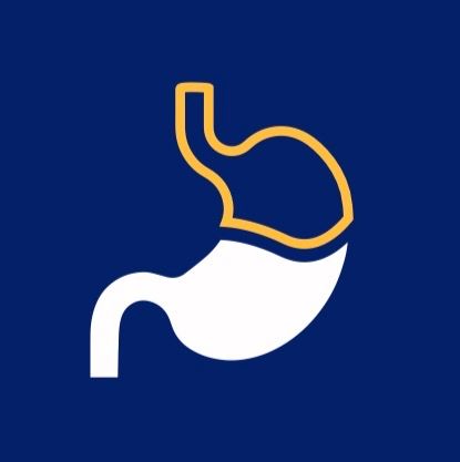 Jorge Herrera Hernández-8