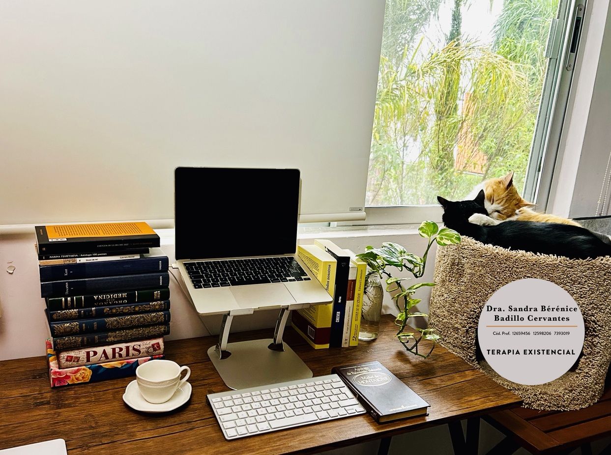 Sandra Berenice Badillo Cervantes-5