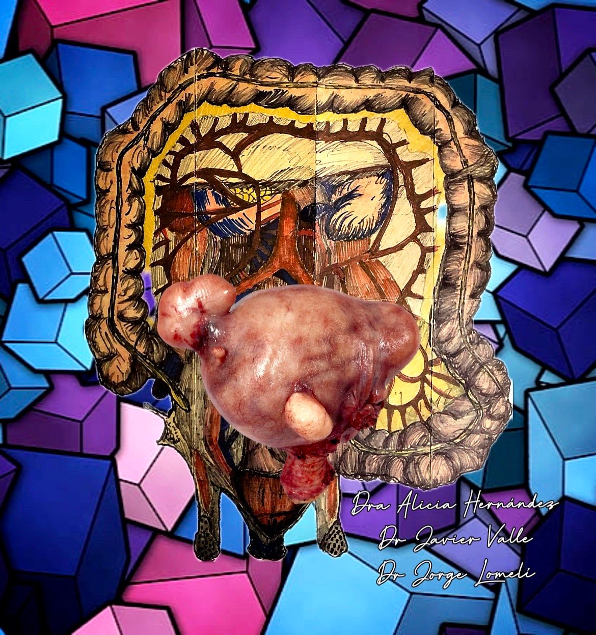 Jorge Antonio Lomeli Muñoz-55