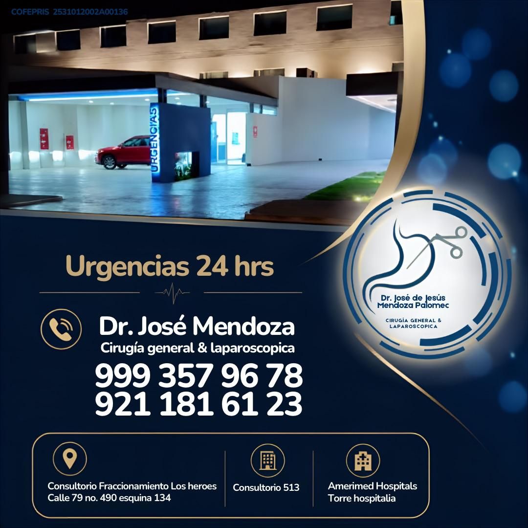 José De Jesus Mendoza Palomec-33