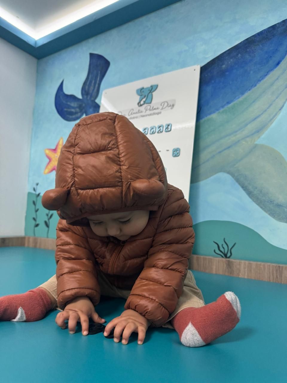 Analía Palma Diaz-0