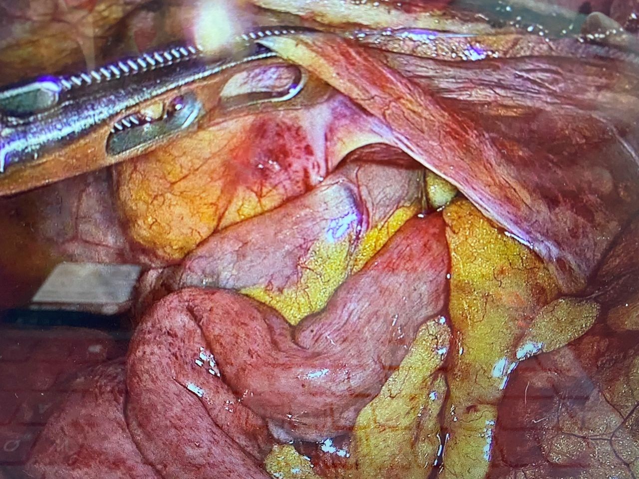 Mariann Barajas Grijalva-12