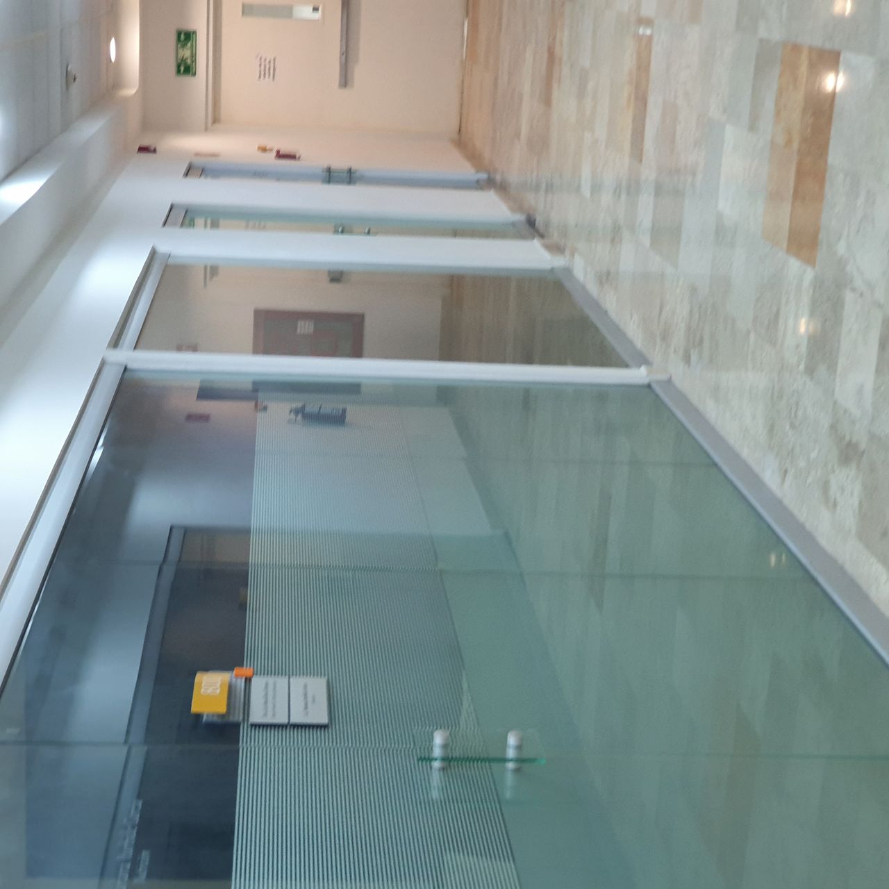 Luz Maria Rivas Moreno-2