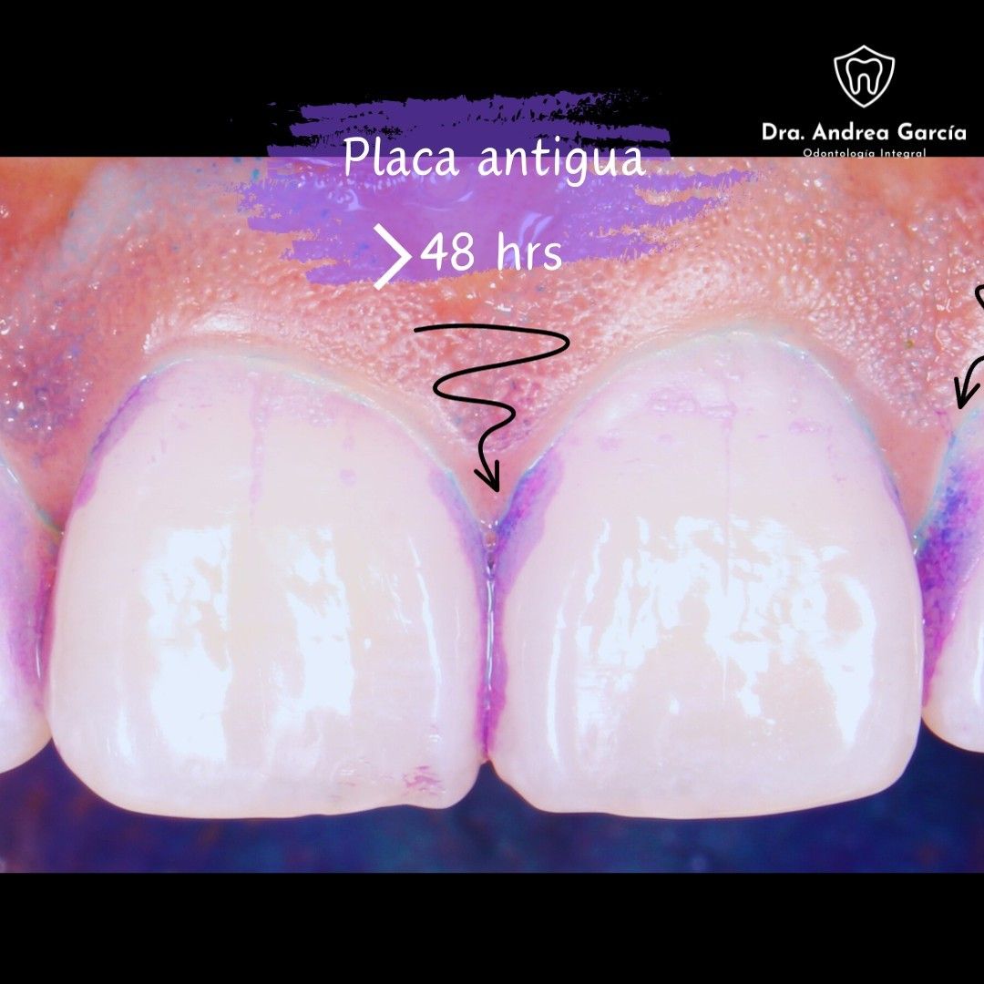 Andrea Hernández Garcia-6