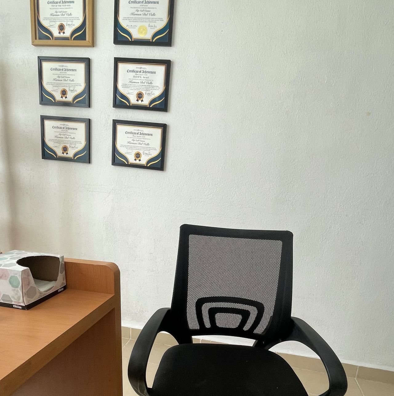 Roxana Toledo Martínez-0