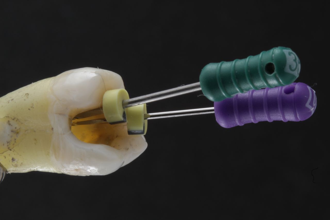 Martha Valeria Barragan Jimenez-5