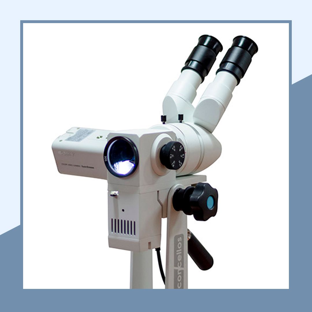 Eduardo Williams Victoria-4