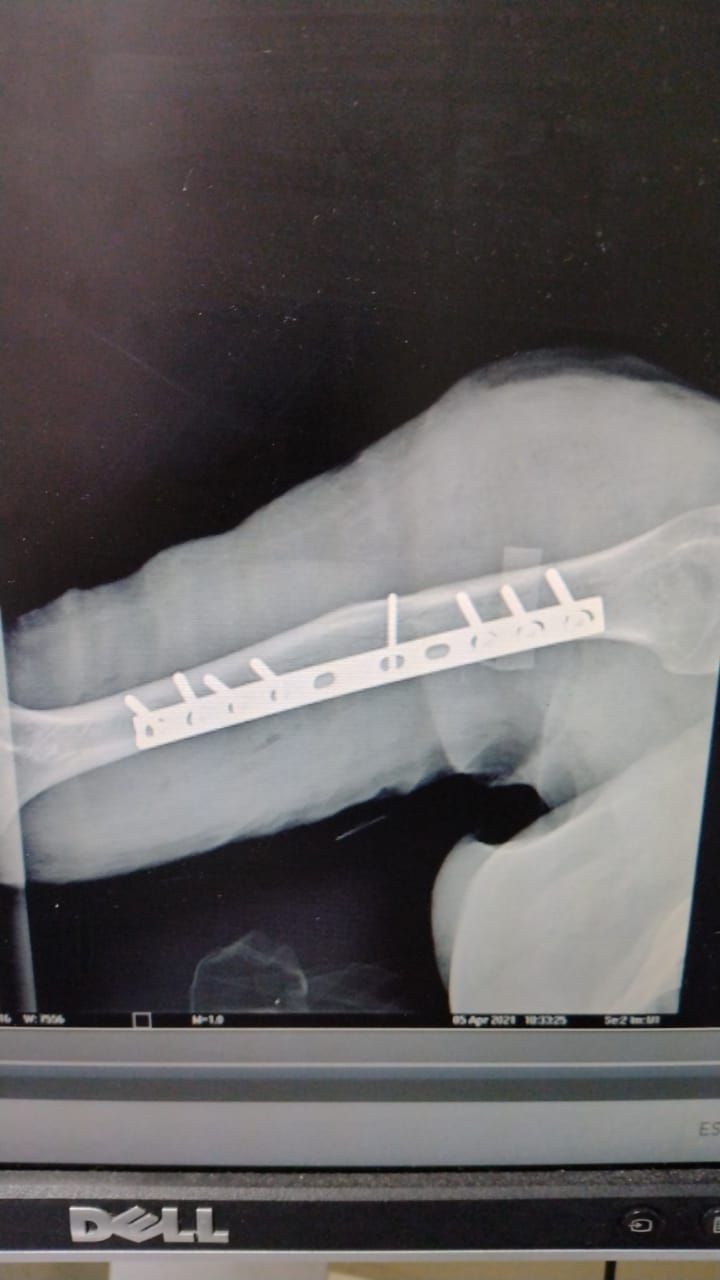 Rodrigo F. Durán Martínez-16