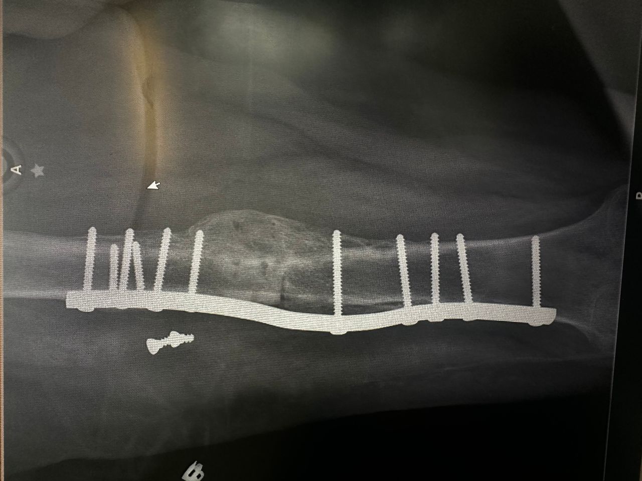 Jesús Guerra Jasso-3